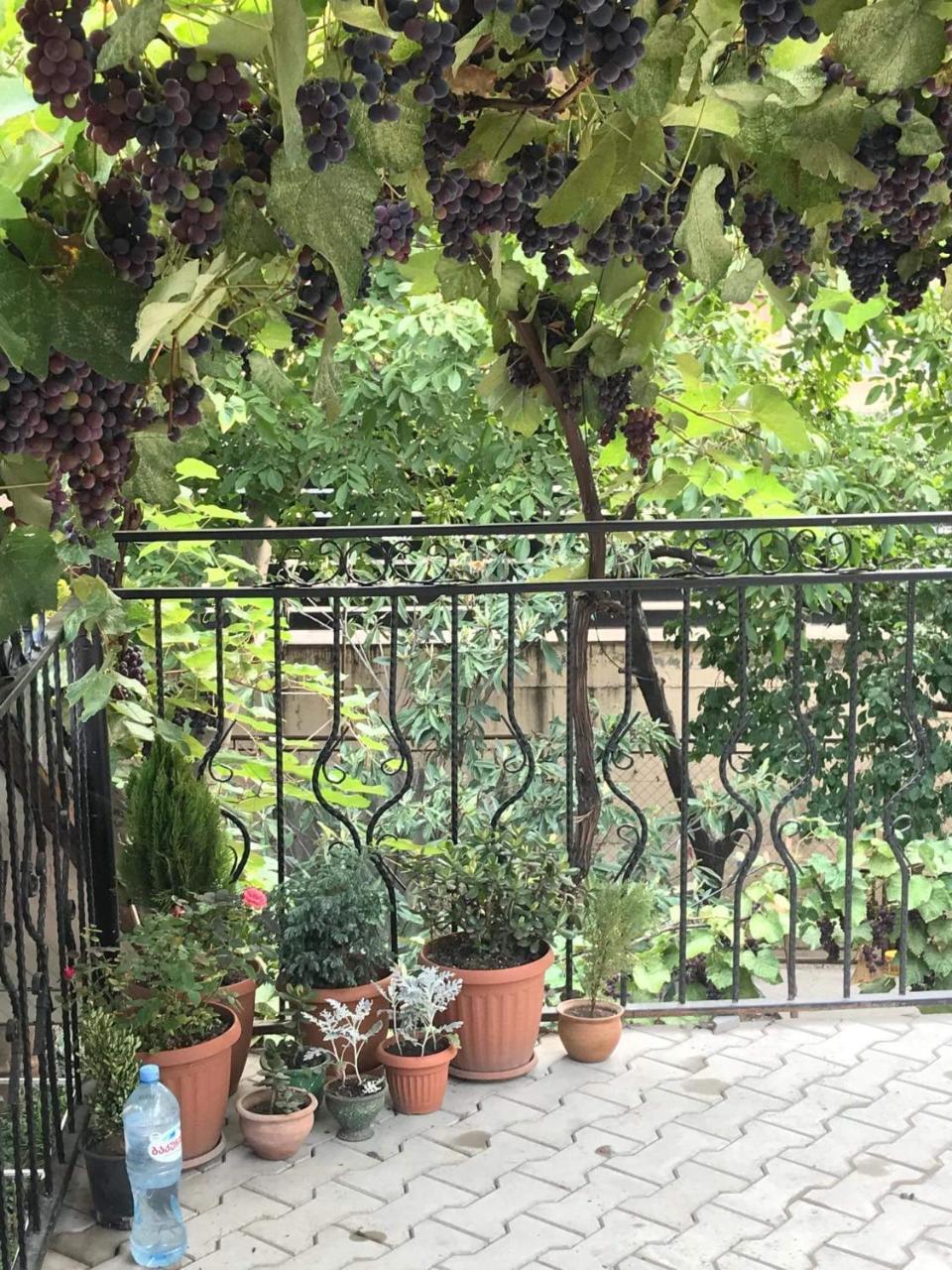 Nino'S Guest House Tbilisi Exterior photo